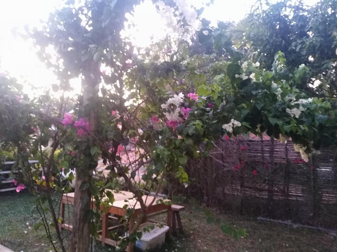 Mama Clares Otel Sihanoukville Dış mekan fotoğraf